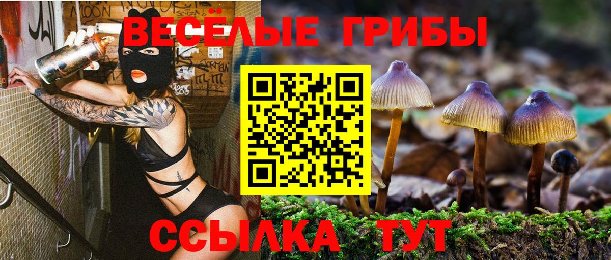 Галлюциногенные грибы прущие грибы Геленджик