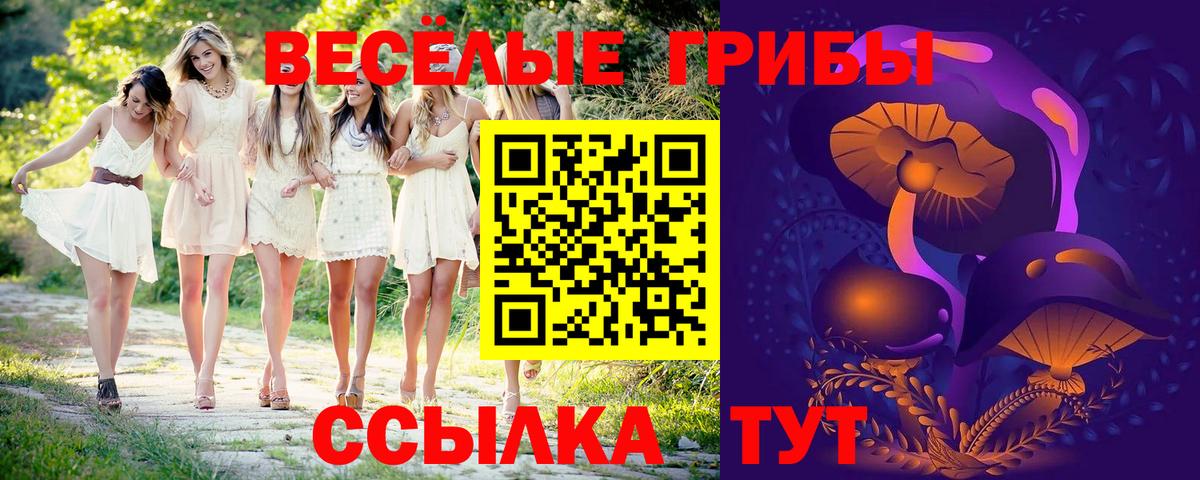 Геленджик  купить  сайты  Вход с VPN  Галлюциногенные грибы мухоморы 